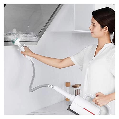 Portable Steamer - 3.5BAR