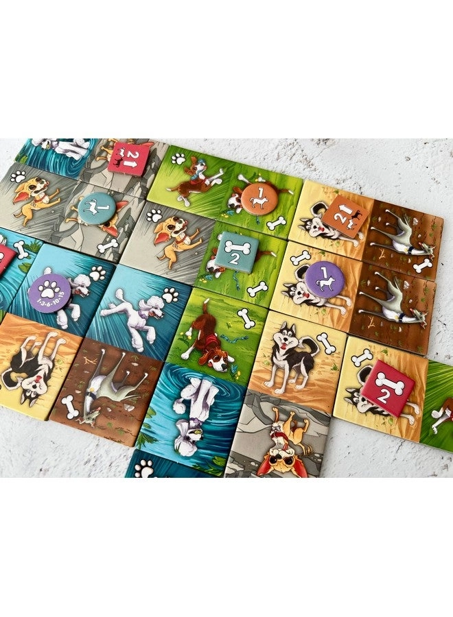 Zoomies - Card Game