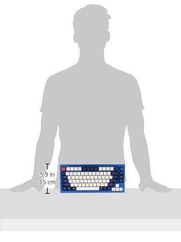 Q1-O2 - Wired/Wireless