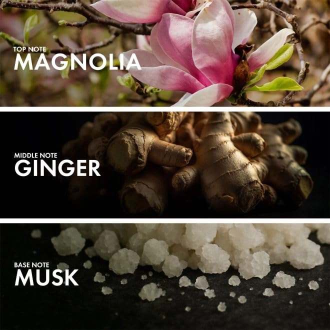 POWDERY MAGNOLIA Eau de Parfum 50ml