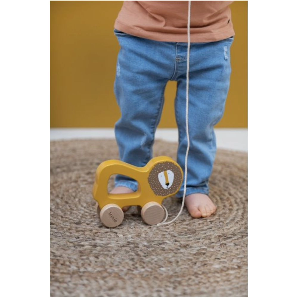 Wooden Animal Cars - Mr. Lion