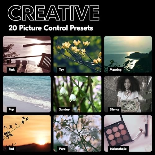 Z 30 + Z DX 12-28mm f/3.5-5.6 PZ VR