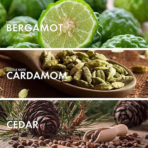 Amber Neroli Eau de Parfum 50 ml