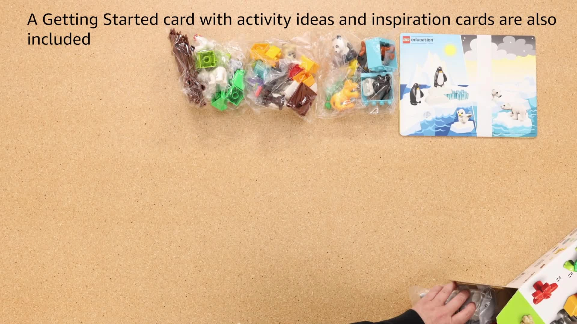 Animals (45029) - Multicolor