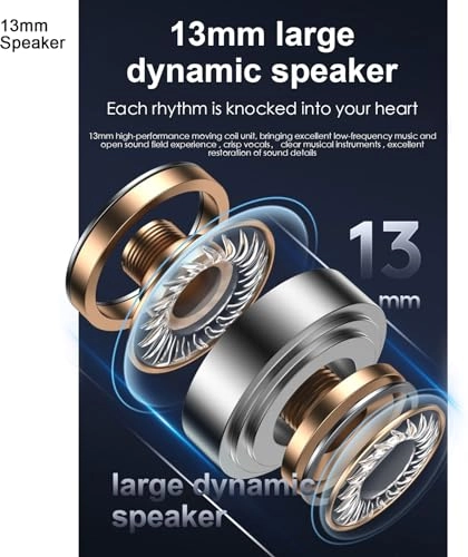 BT5.3 Wireless Earbud