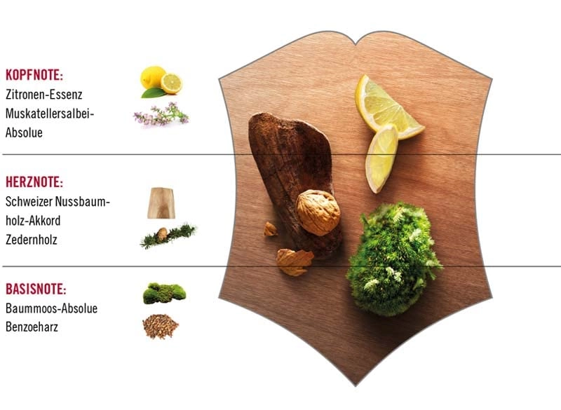 Wood Eau de Toilette 100 ml