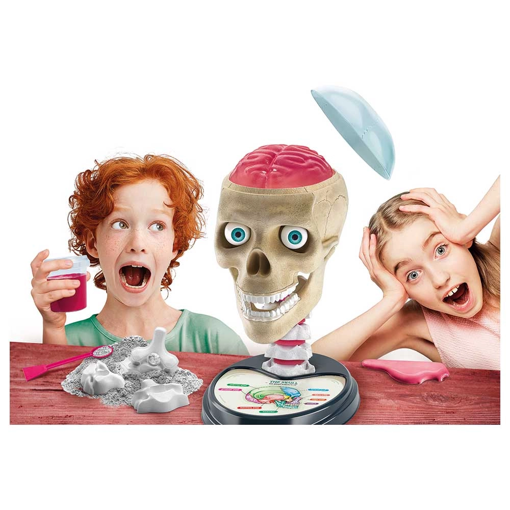 Crazy Anatomy Lab - 8 years+