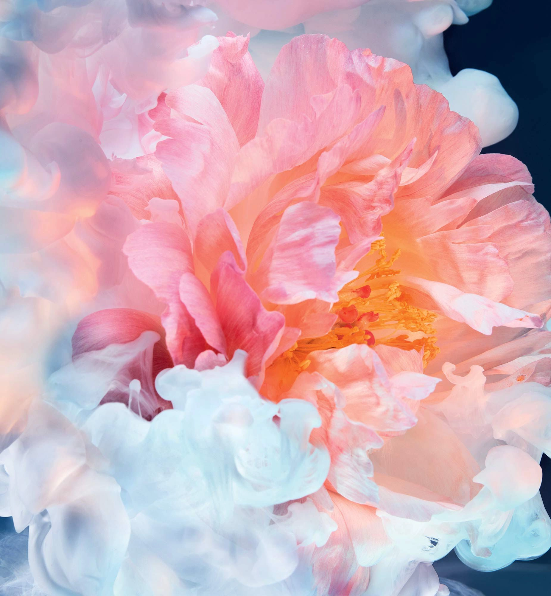 Joy Intense Eau de Parfum 90ml