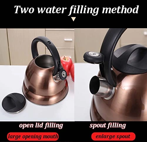 Stovetop Induction Whistling Kettle - 5L