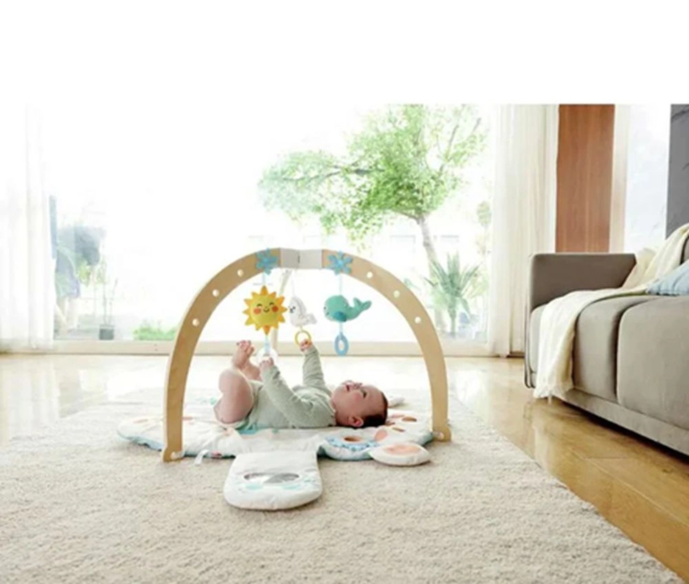 Snuggle Bear Foldable Activity Gym - 0 to 18 months