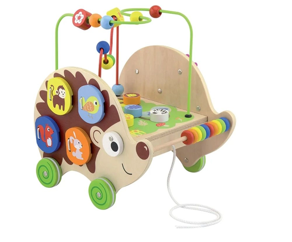 5-in-1 Pull-along Activity Hedgehog