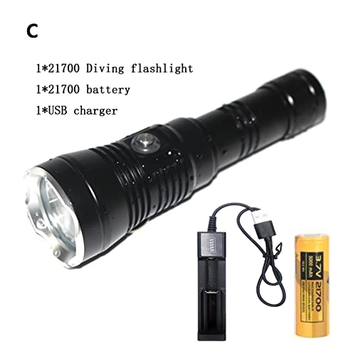 Professional Submersible Light
