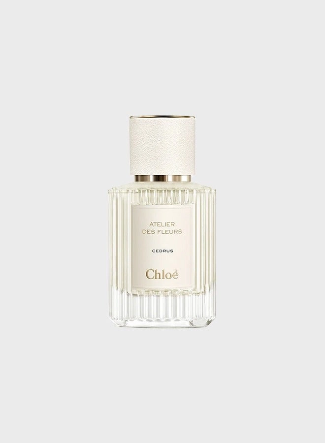 Cedrus Eau de Parfum 50 ml