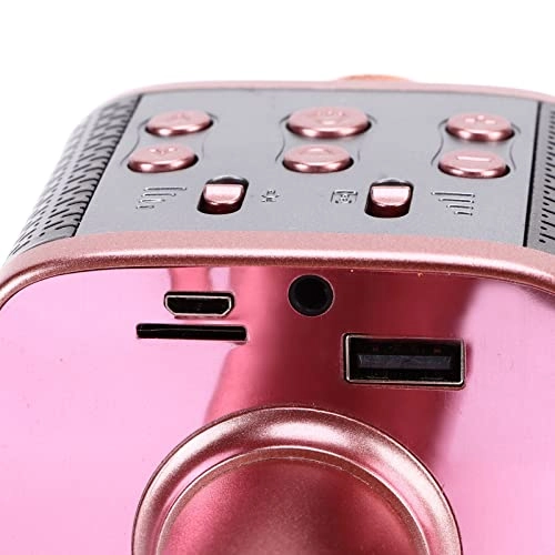 Wireless Microphone USB Microphone