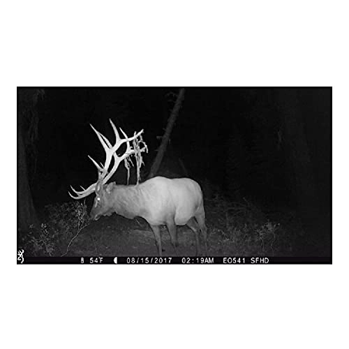 Strike Force Extreme - 16MP + USB 2.0 Card Reader