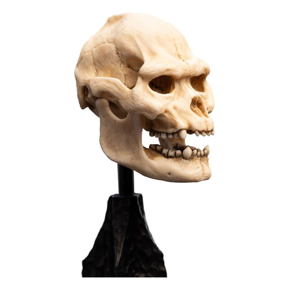 Skull of Lurtz - The Lord of The Rings (14.5 cm)