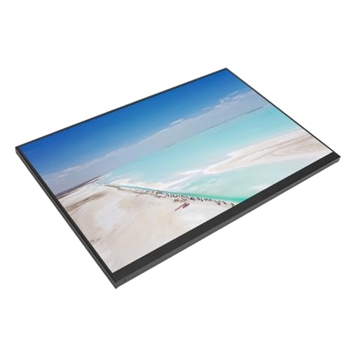 Portable Monitor - 1920 x 1200P 18 inch