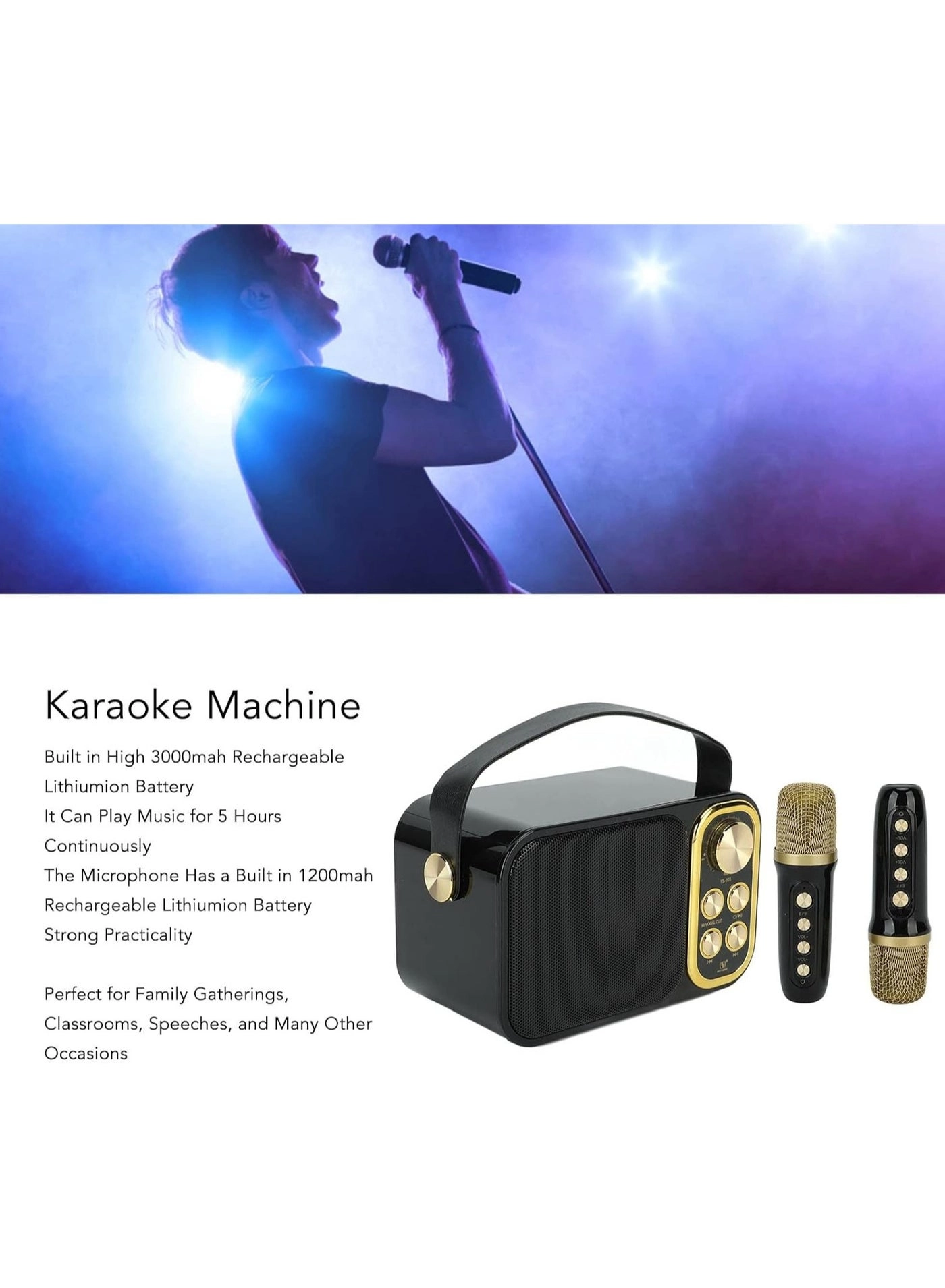Outdoor Party Vocal Machine - 2 microphones