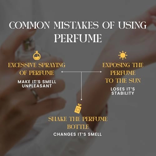 Signature 1356 - Eau de Parfum 50ml Pack