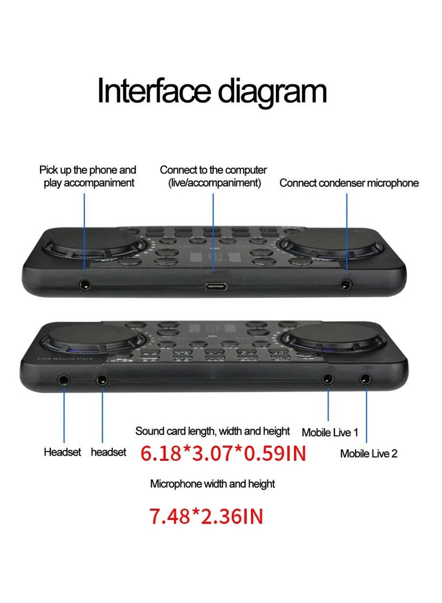 V300 Pro