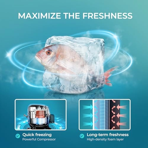 Upright freezer - Single Door Compact