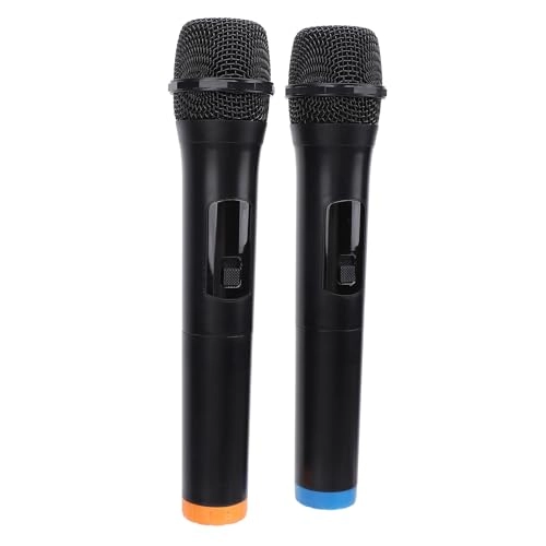 8fl42bxhce - 2 microphones 2.4G
