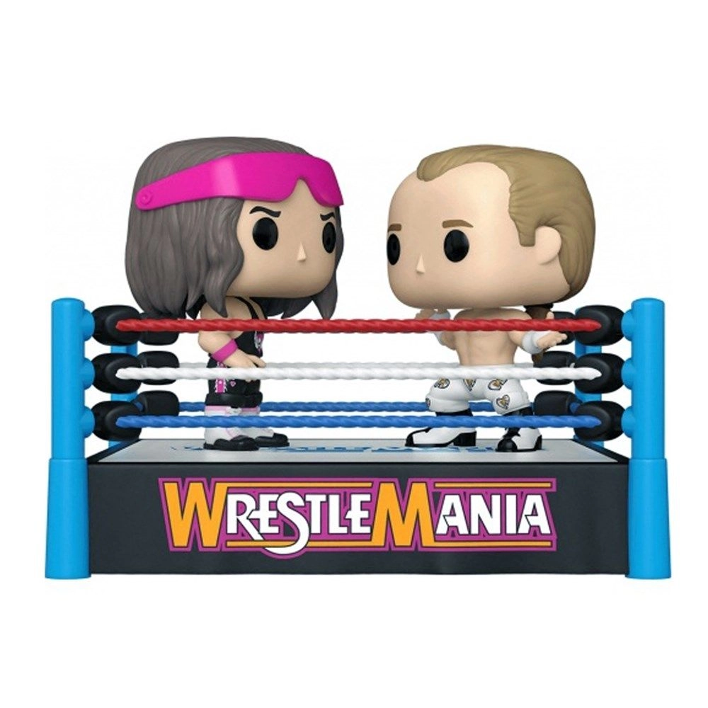 Bret Hart + Shawn Michaels - WWE - Vinyl Figure