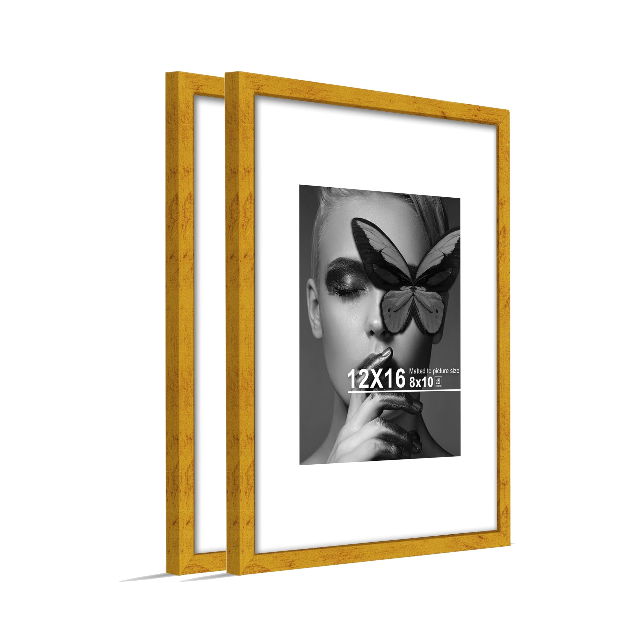 Document Frame - 12x16 Inch