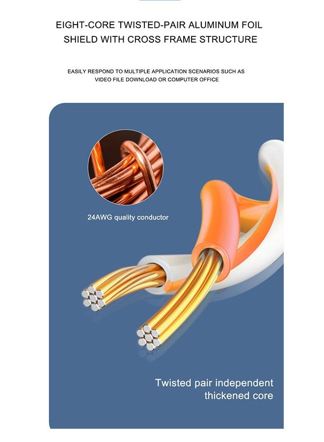 Cat6 UTP LAN - 100 Meters