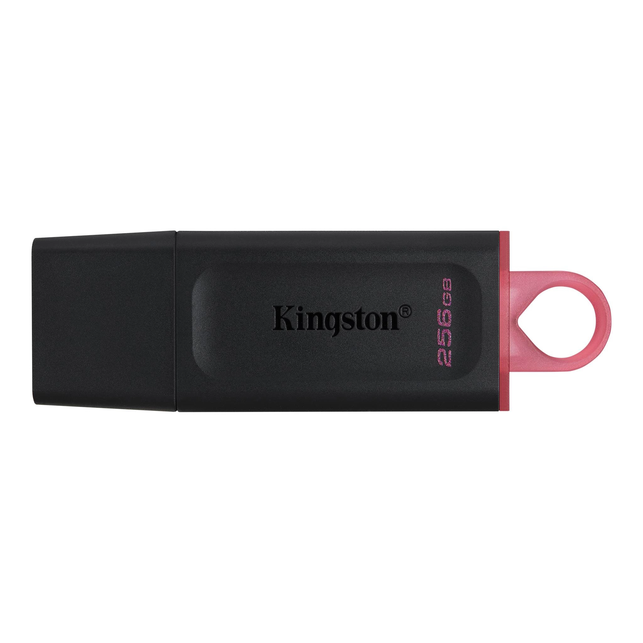 Kingston Technology DataTraveler Exodia - 256 GB