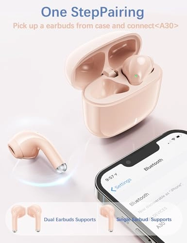 5.3 Bluetooth Headphone Wireless Earbud
