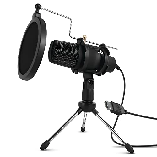 1 USB Microphone