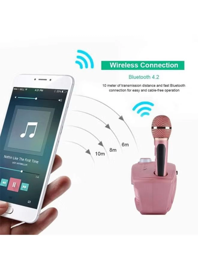 Speaker with Mic - 2 microphones