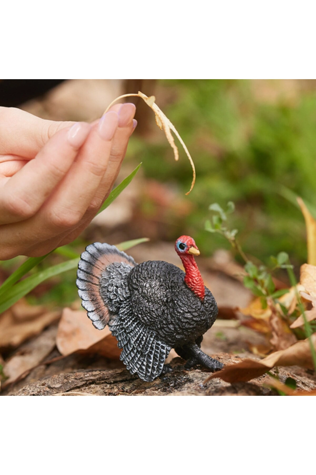 Turkey 13900 - 3yr 1pc