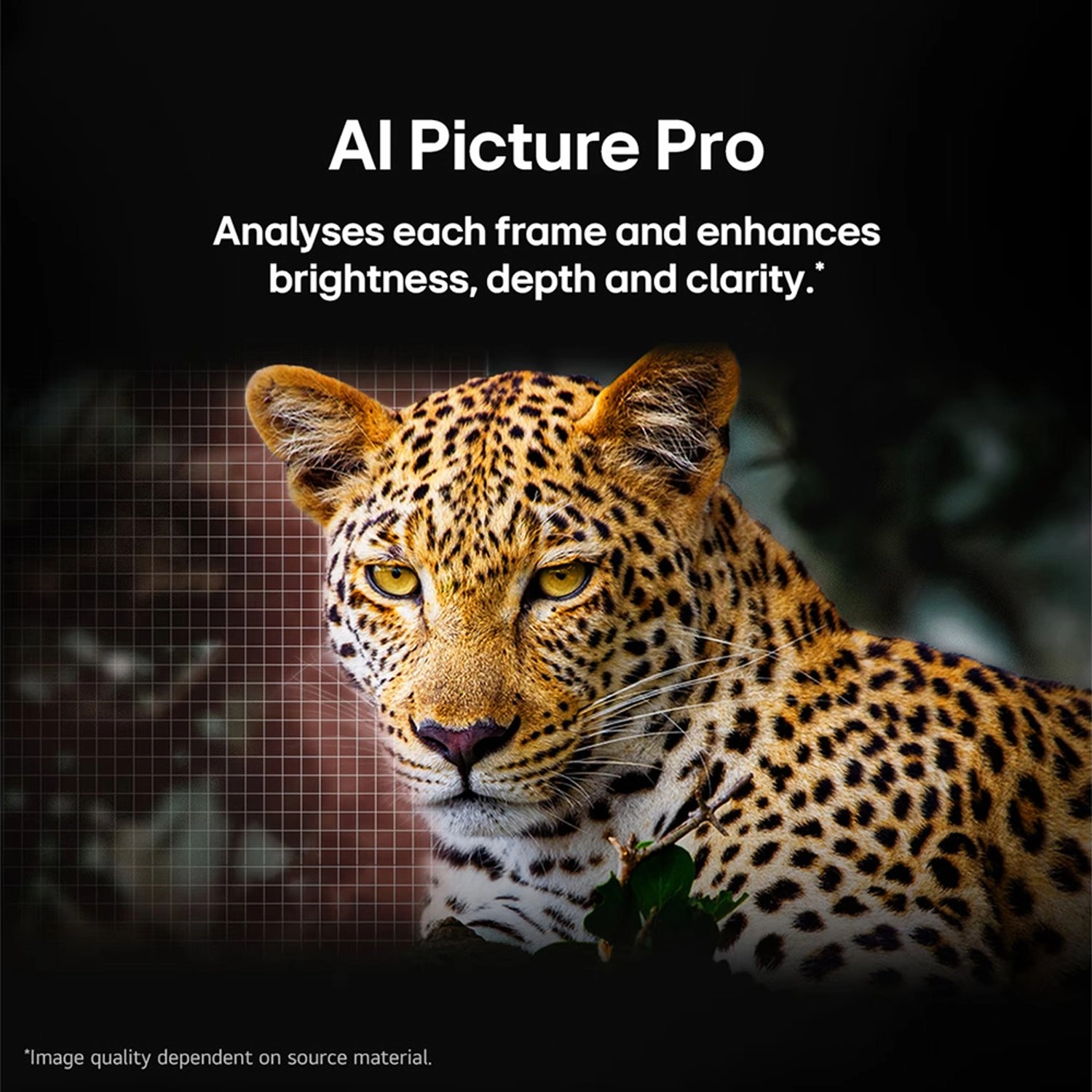 OLED83C56LA-AMAG - 83 Inches