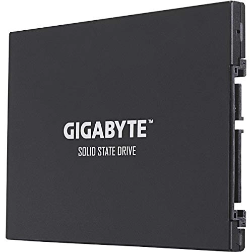GP-GSTFS31100TNTD - 1 TB 2.5-inch