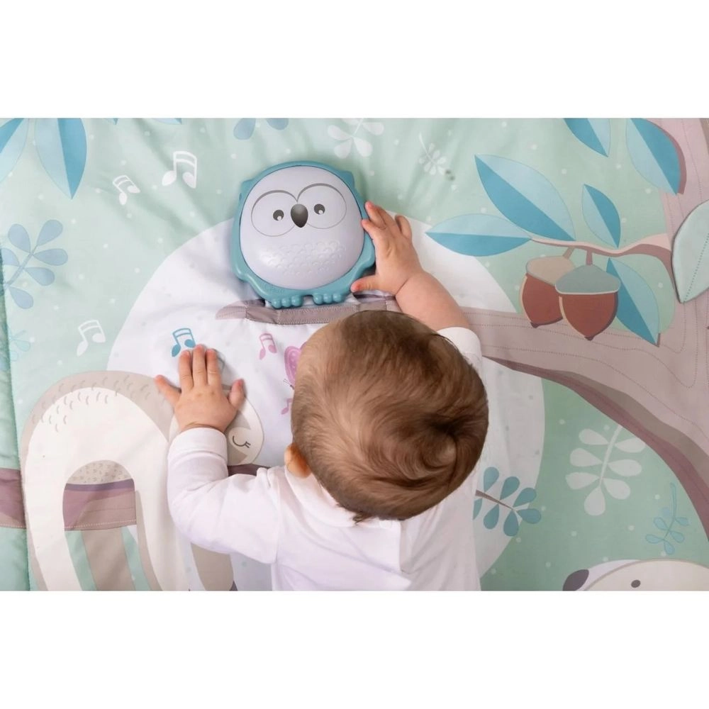 2-In-1 Electronic Owly Playmat - Suitable for 0 month and above