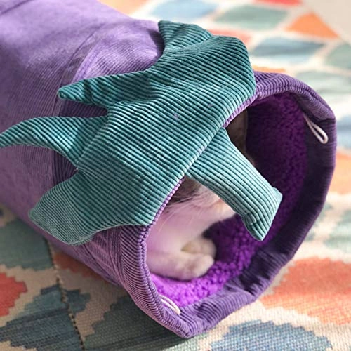 Cat Tunnel