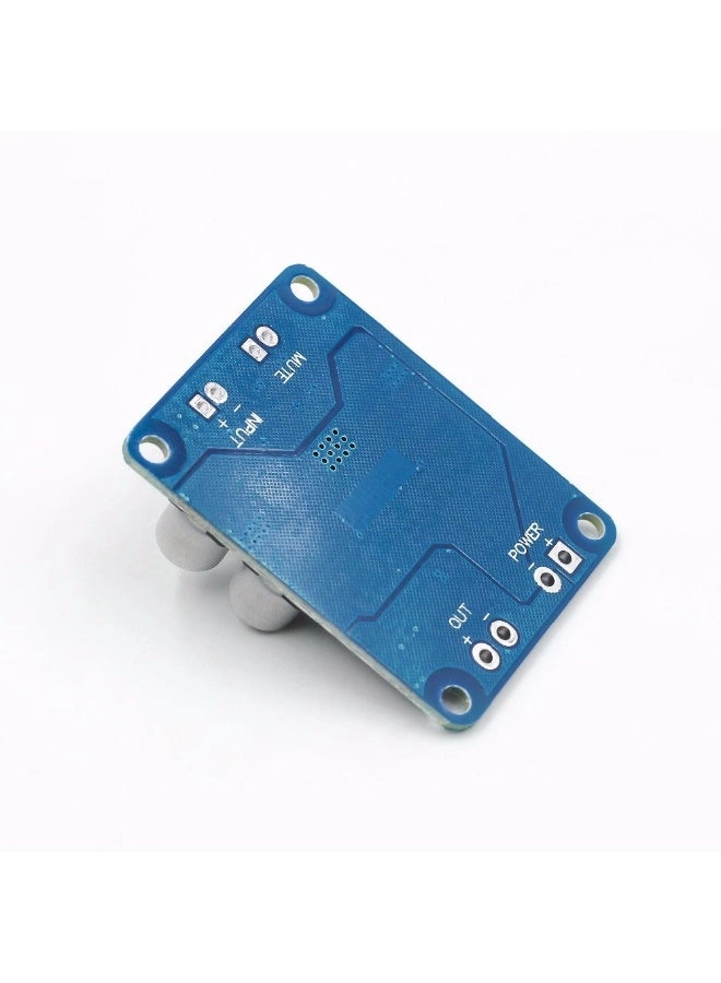 TPA3118 - PBTL Mono 160W