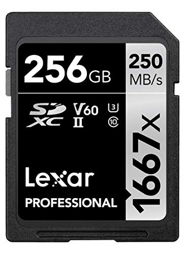 Professional 1667x - 256GB