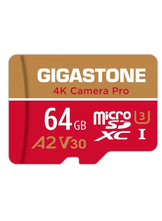 Gigastone Prime Series - 64GB