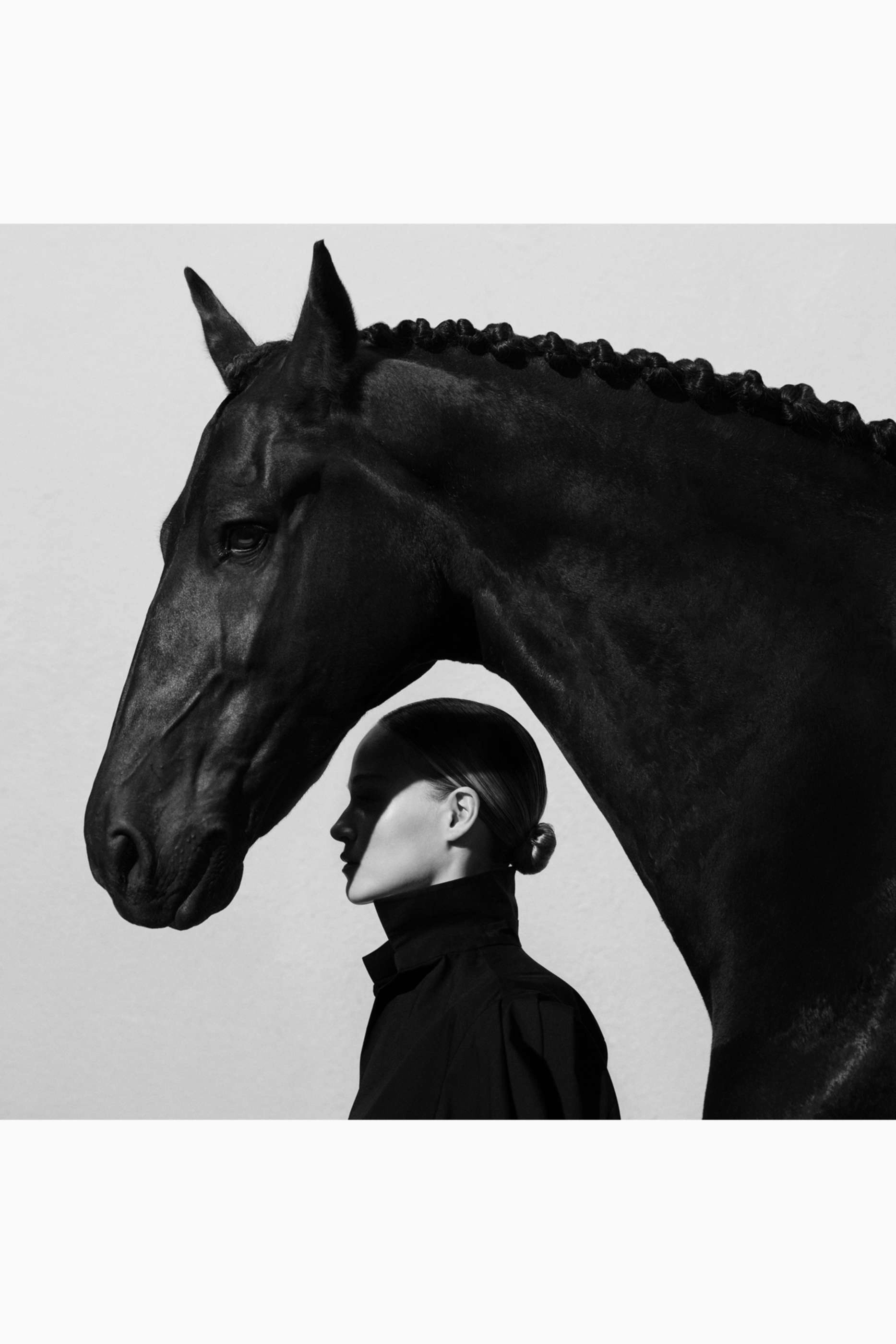 Stallion Leather Suede Eau de Parfum 100ml