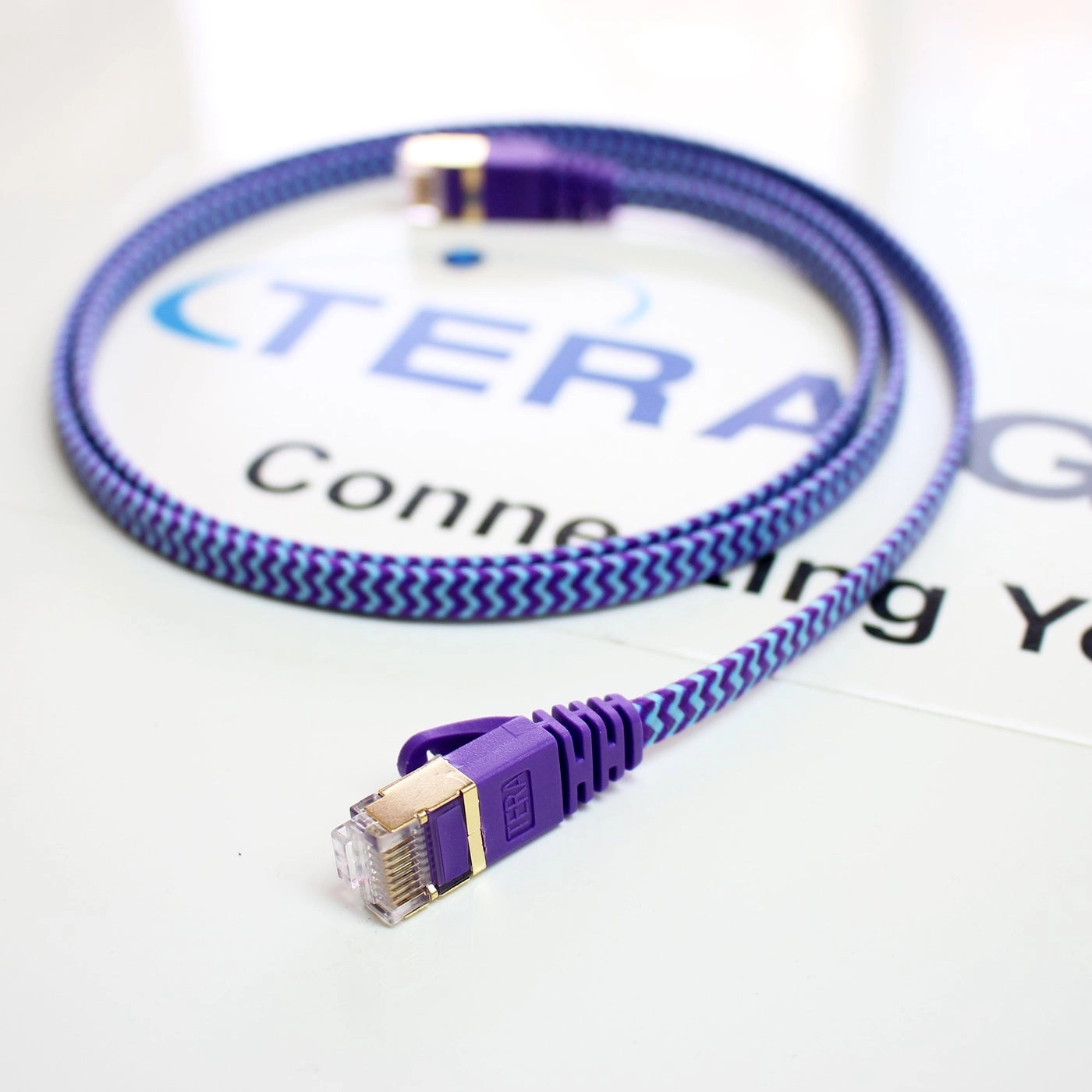 CAT7 10 Gigabit Ethernet Ultra Flat Patch Cable - 3FT