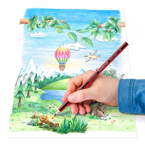 Noris Coloured Pencils - 36 Pcs