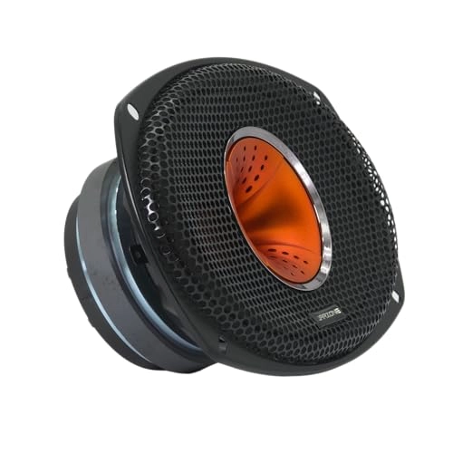 Warzone WZ69Si - 6x9-Inch Mid-Range + Driver