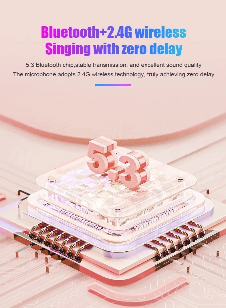 Karaoke Speaker - 2 Microphones 10W