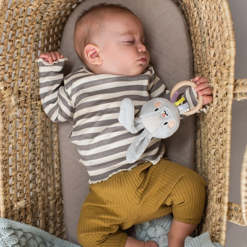 Rylee Musical Bunny - 0 Months & Above ultra-soft fabric