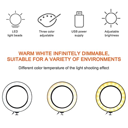 Ring Lamp - 6W USB Dimmable