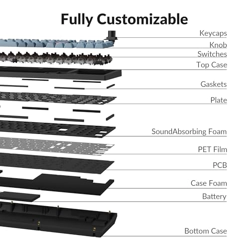 V5 Max - US Wired/Wireless