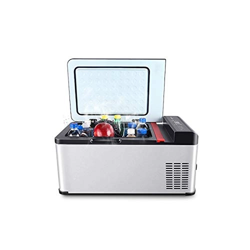Mini Car Refrigerator - 12V 24V Freezer